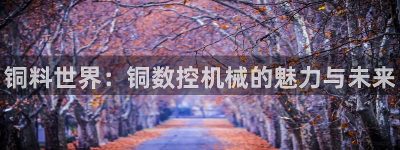 北京天辰娱乐