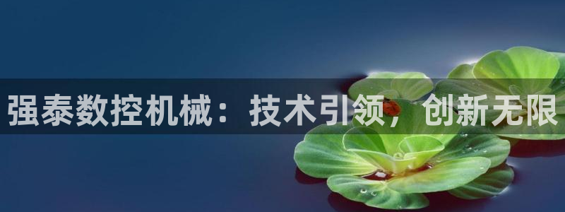 天辰娱乐平台入口