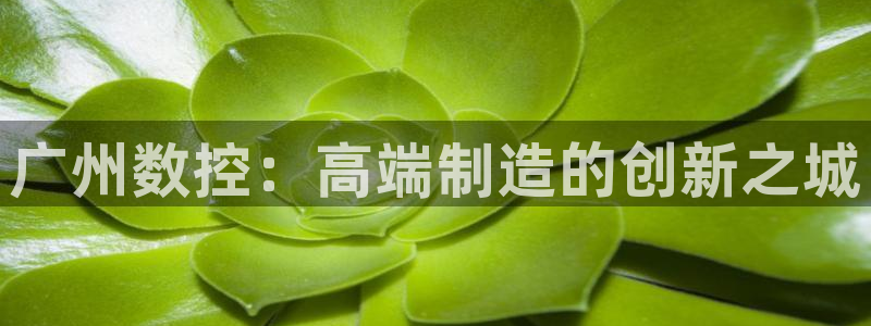 天辰娱乐传媒