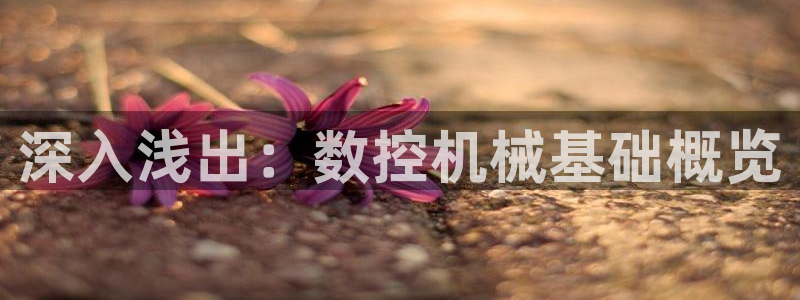 天辰娱乐台湾