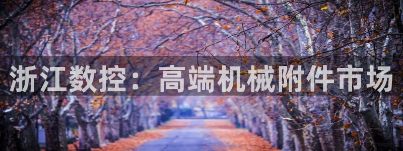 天辰娱乐官网平台下载