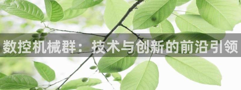 桂林天辰娱乐:数控机械群:技术与创新的前沿引领