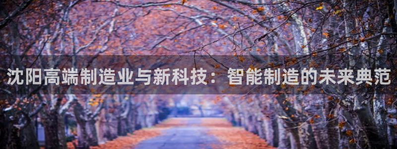 天辰娱乐小妹