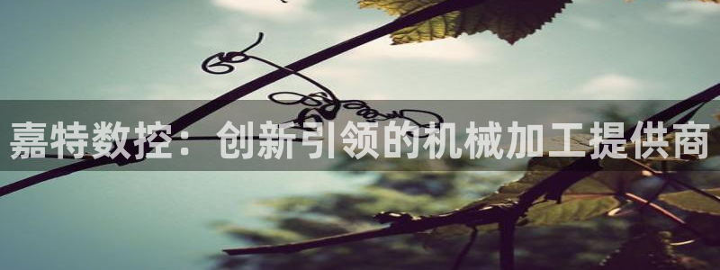 哈尔滨天辰娱乐