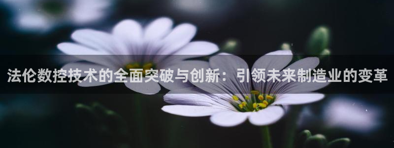 天辰娱乐ttf