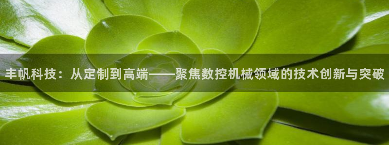 天辰娱乐-18113:丰帆科技:从定制到高端——聚焦数控机械领域的技术创新与突破