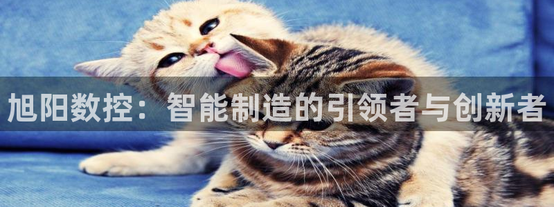 徐州天辰娱乐:旭阳数控:智能制造的引领者与创新者