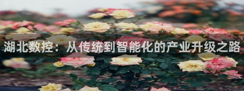 天辰娱乐平台娱乐注册