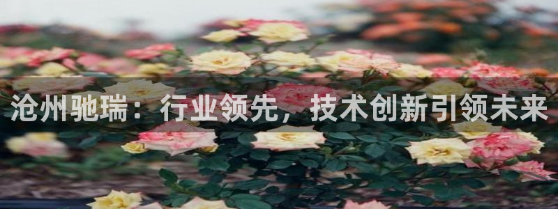 天辰娱乐电话