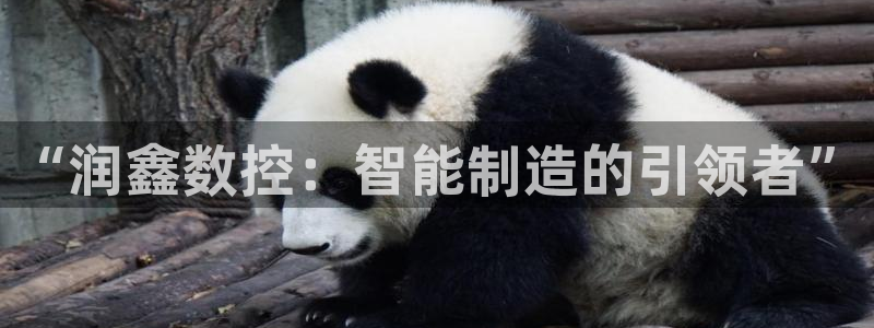 天辰臣娱乐