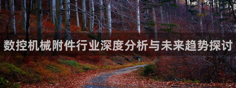 天辰娱乐2