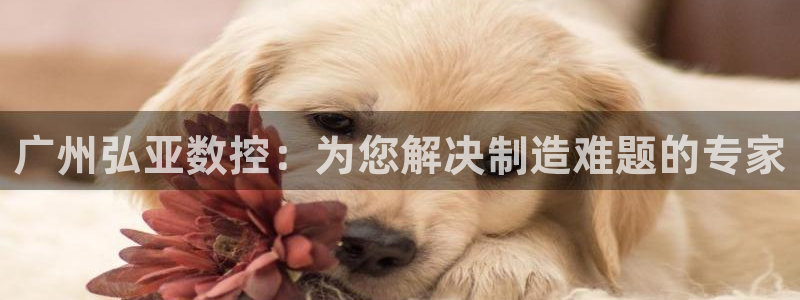 天辰娱乐下载链接