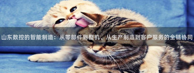 手机上怎么下载天辰娱乐