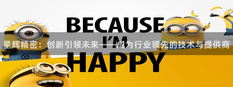天辰娱乐 天辰平台：星辉精密：创新引领未来——成为行业领先的技术与提供商