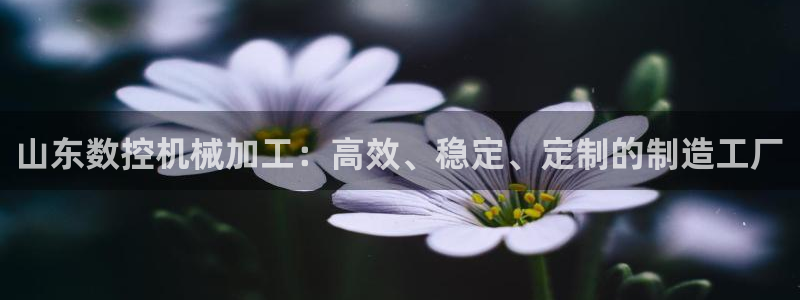 天辰娱乐1980：山东数控机械加工：高效、稳定、定制的制造工厂