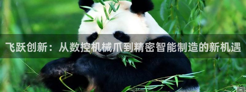 天辰天富娱乐：飞跃创新：从数控机械爪到精密智能制造的新机遇