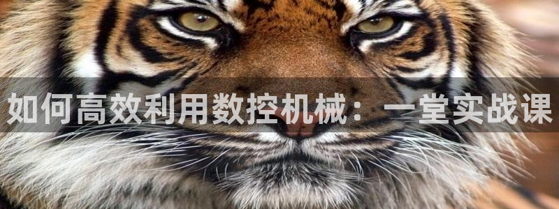 天辰娱乐官网平台入口