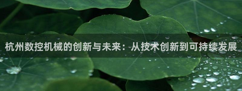北京天辰娱乐：杭州数控机械的创新与未来：从技术创新到可持续发展