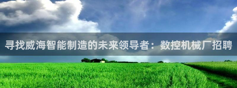 天辰 娱乐 注册：寻找威海智能制造的未来领导者：数控机械厂招聘