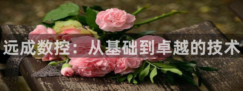 天辰 娱乐 注册