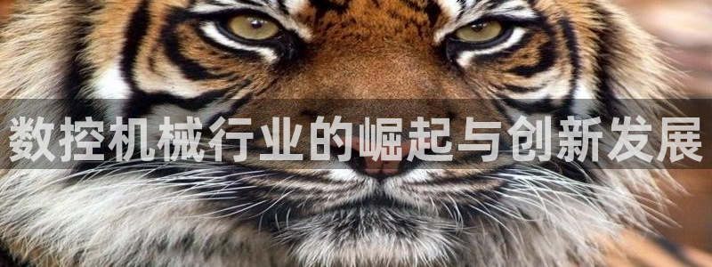 天辰娱乐平台娱乐注册