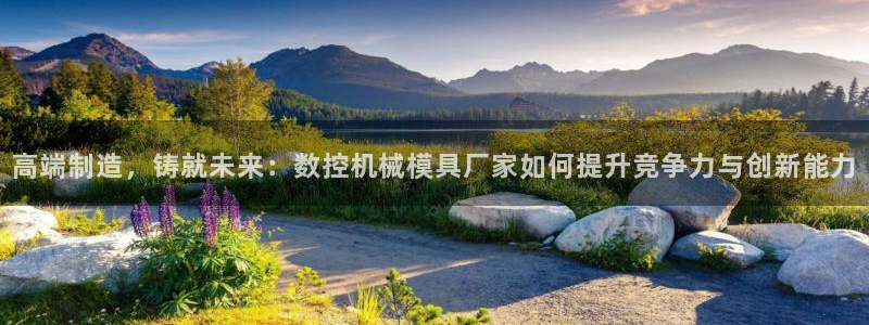 徐州天辰娱乐：高端制造，铸就未来：数控机械模具厂家如何提升竞争力与创新能力