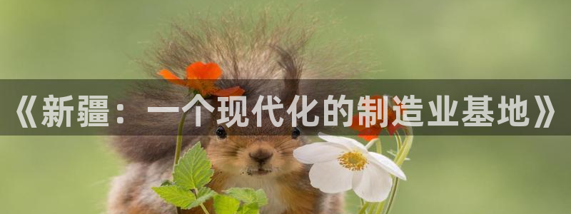 天辰娱乐557448