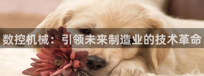 天辰娱乐官方网：数控机械：引领未来制造业的技术革命