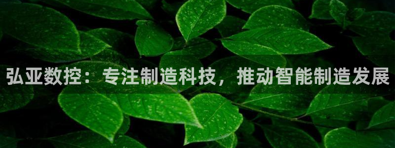 天辰娱乐1966
