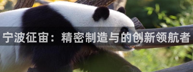 天辰宝宝娱乐
