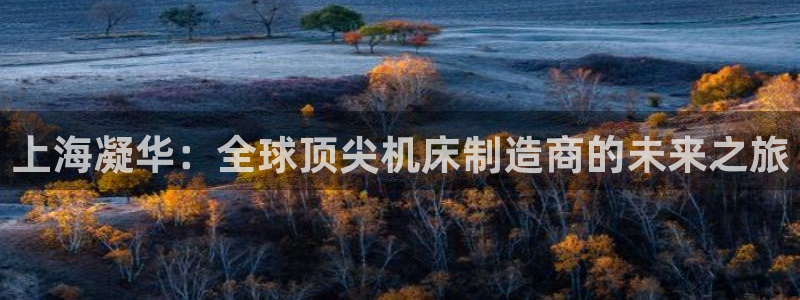 天辰宝宝娱乐
