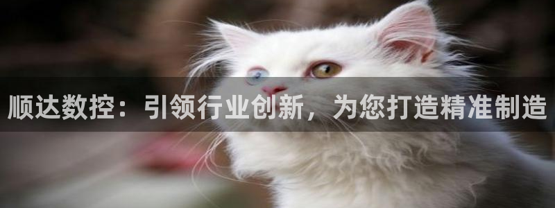 天辰娱乐tff