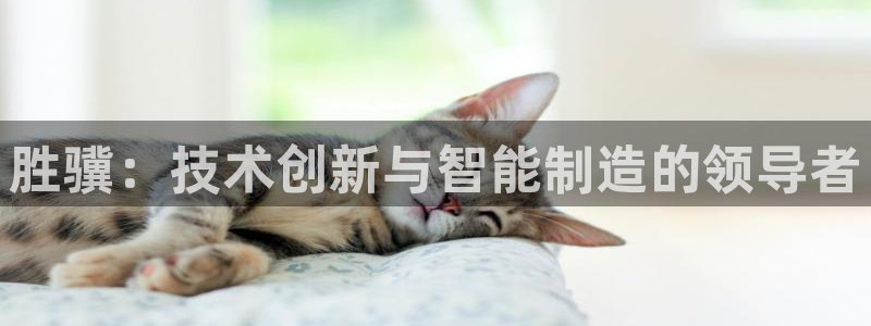 天辰娱乐所：胜骥：技术创新与智能制造的领导者