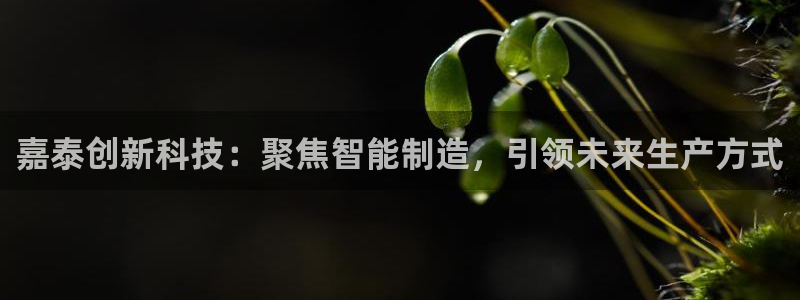 天辰娱乐传媒：嘉泰创新科技：聚焦智能制造，引领未来生产方式