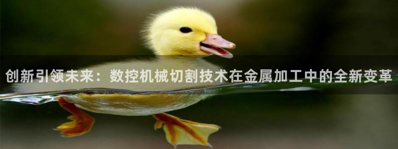 菲律宾天辰娱乐