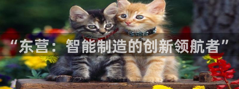 天辰娱乐主页