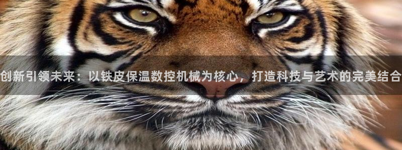 天辰a娱乐