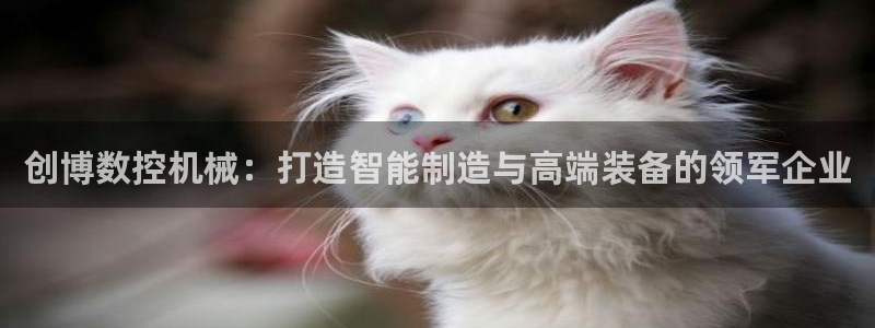 天辰娱乐内部