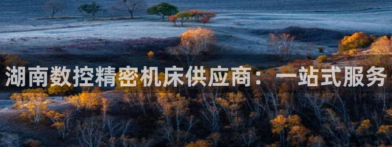 天辰娱乐 qq：湖南数控精密机床供应商：一站式服务