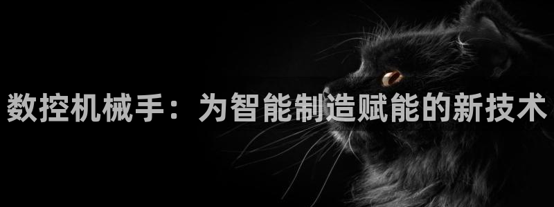 天辰娱乐总管：数控机械手：为智能制造赋能的新技术