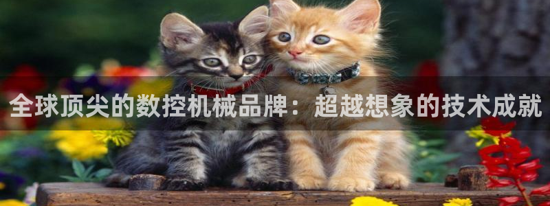 天辰娱乐视频：全球顶尖的数控机械品牌：超越想象的技术成就