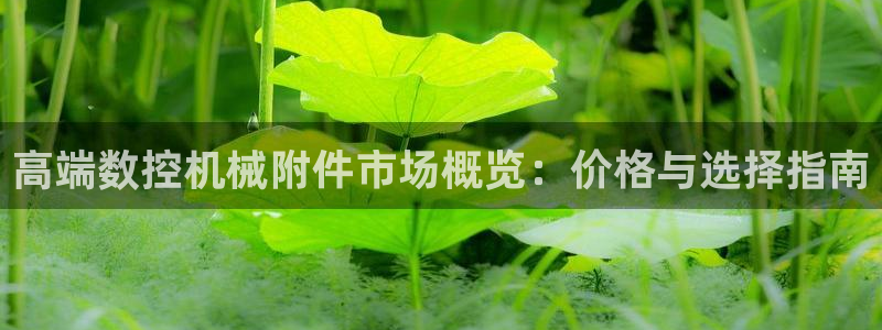 天辰娱乐登录