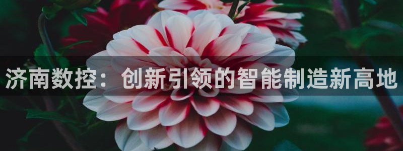 天辰娱乐登陆平台