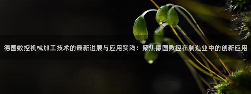 大庆天辰娱乐