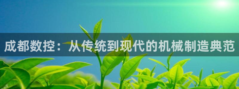 天辰娱乐小姐