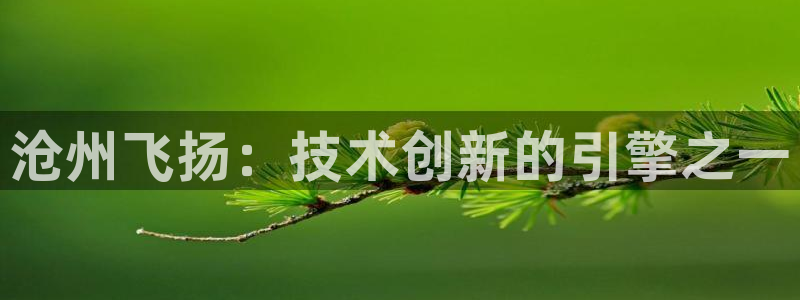 深圳天辰娱乐