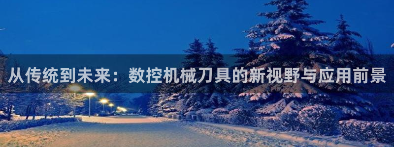 南充天辰娱乐