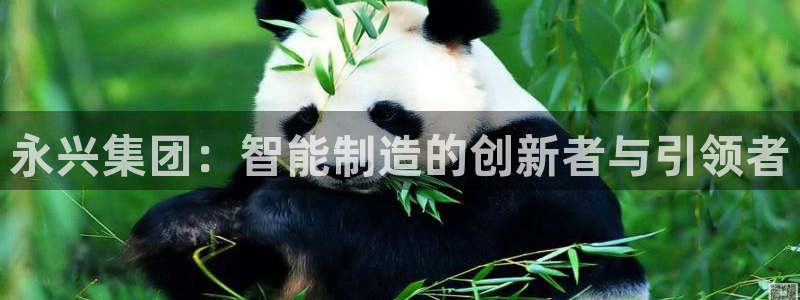 天辰娱乐官方登录下载：永兴集团：智能制造的创新者与引领者