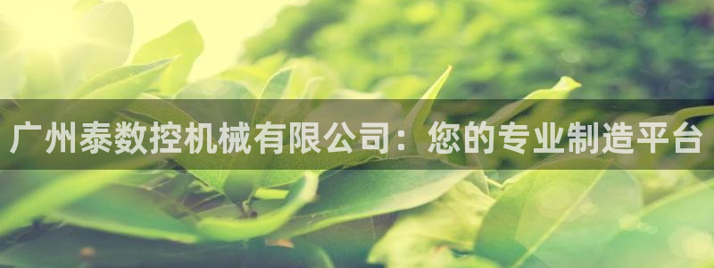 天辰娱乐平台注册