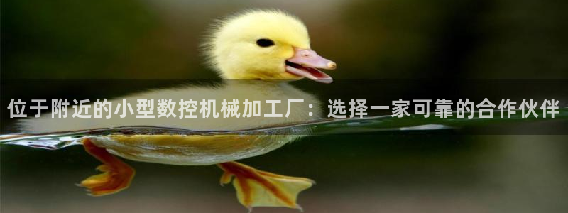 天辰娱乐下载